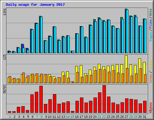 Daily usage for January 2017