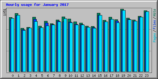 Hourly usage for January 2017